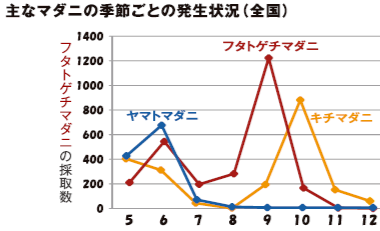 ノミの生存ピラミッド